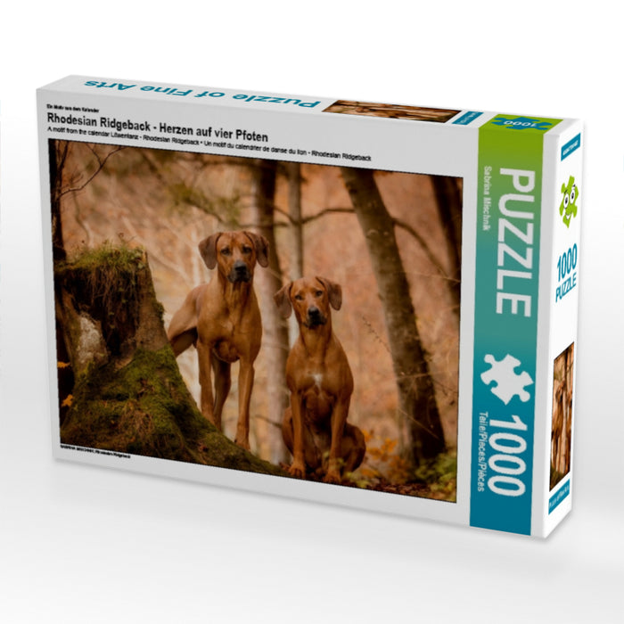 Rhodesian Ridgeback - Herzen auf vier Pfoten - CALVENDO Foto-Puzzle - calvendoverlag 29.99