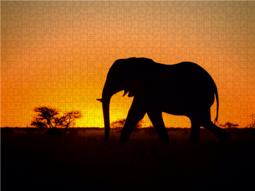 Elefant - CALVENDO Foto-Puzzle - calvendoverlag 39.99