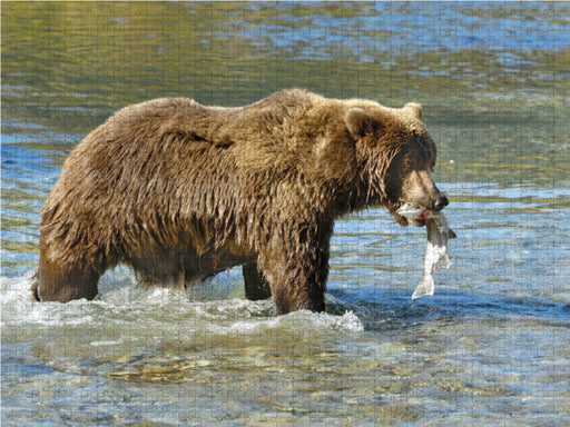 Braunbär mit Lachs - CALVENDO Foto-Puzzle - calvendoverlag 39.99