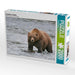 Braunbär in Alaska - CALVENDO Foto-Puzzle - calvendoverlag 39.99