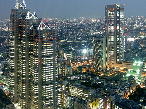 Blick über Tokyo vom Rathaus - CALVENDO Foto-Puzzle - calvendoverlag 39.99