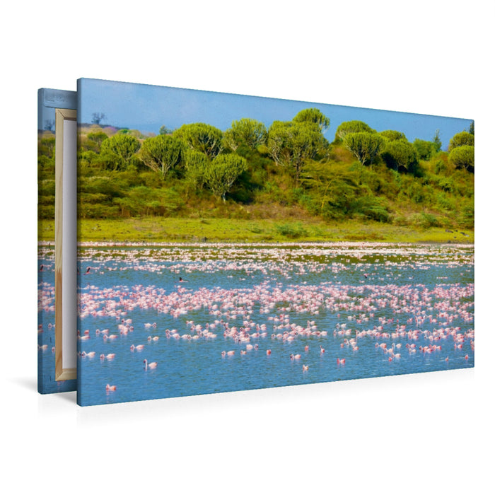 Premium Textil-Leinwand Premium Textil-Leinwand 120 cm x 80 cm quer Flamingos im Big Momella Lake