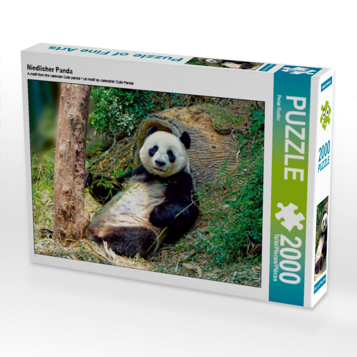 Niedlicher Panda - CALVENDO Foto-Puzzle - calvendoverlag 29.99