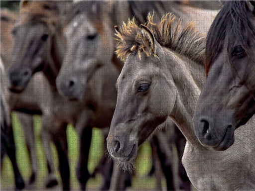 Mittagszeit in der Familie - CALVENDO Foto-Puzzle - calvendoverlag 39.99