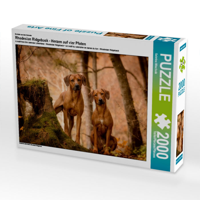 Rhodesian Ridgeback - Herzen auf vier Pfoten - CALVENDO Foto-Puzzle - calvendoverlag 29.99