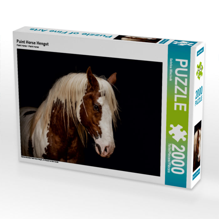 Paint Horse Hengst - CALVENDO Foto-Puzzle - calvendoverlag 39.99