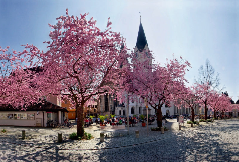 Toile textile haut de gamme Toile textile haut de gamme 120 cm x 80 cm paysage Fleur de cerisier sur la place de la cathédrale d'Eichstätt 