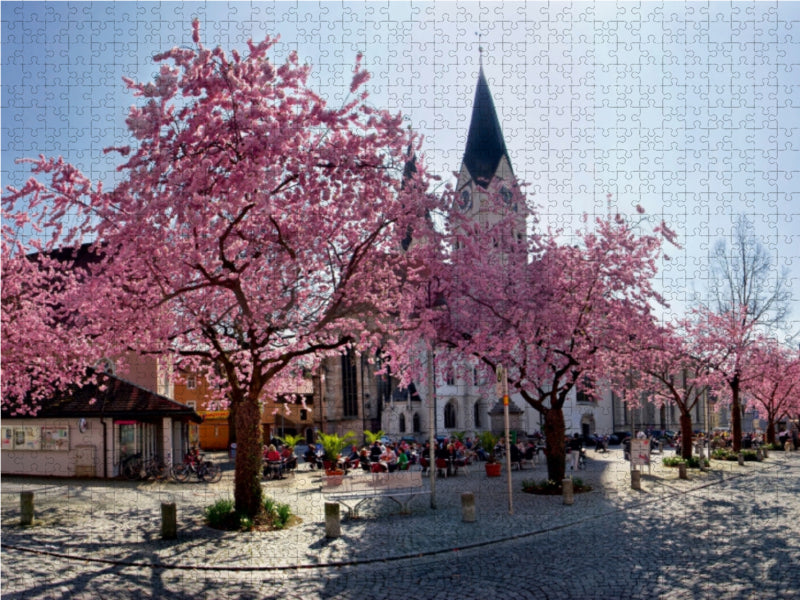 Kirschbaumblüte auf dem Domplatz von Eichstätt - CALVENDO Foto-Puzzle - calvendoverlag 29.99