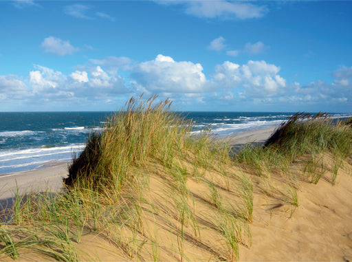 Dünenlandschaft - CALVENDO Foto-Puzzle - calvendoverlag 39.99