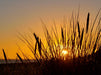 Dünengras im Morgenlicht - CALVENDO Foto-Puzzle - calvendoverlag 39.99