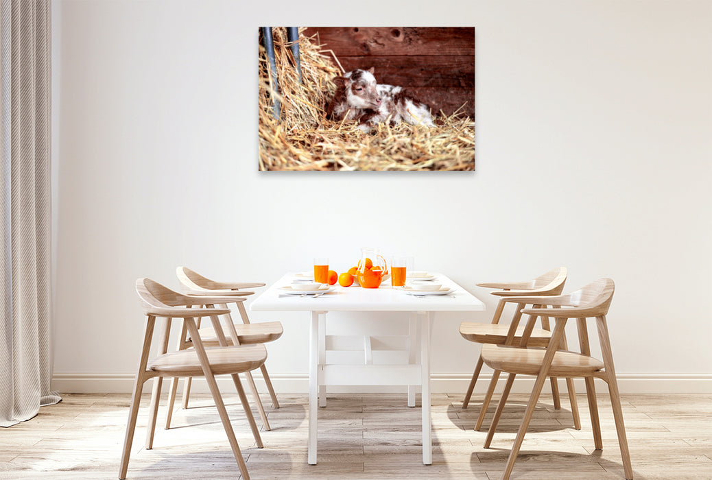 Toile textile premium Toile textile premium 120 cm x 80 cm paysage Un motif du calendrier Moutons et agneaux 