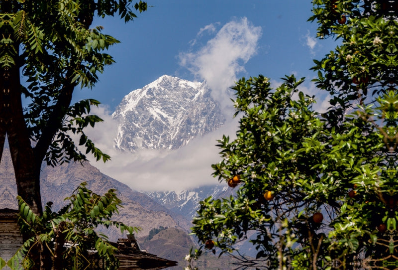 Premium Textil-Leinwand Premium Textil-Leinwand 120 cm x 80 cm quer Blick aus dem tropischen Teil Nepals auf den Himalaya