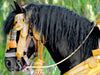 Pferd Fantasia - CALVENDO Foto-Puzzle - calvendoverlag 29.99