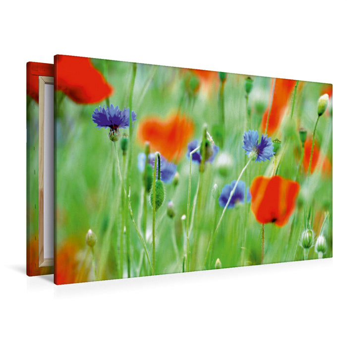 Premium Textil-Leinwand Premium Textil-Leinwand 120 cm x 80 cm quer Ein Bild der Natur Traumkalender