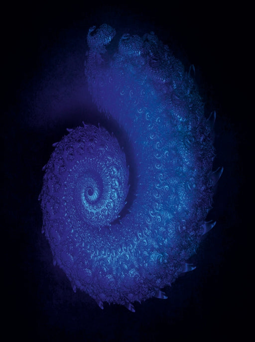 Blaue Spirale - CALVENDO Foto-Puzzle - calvendoverlag 39.99