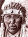 Indianerhäuptling der Cherokees - CALVENDO Foto-Puzzle - calvendoverlag 39.99