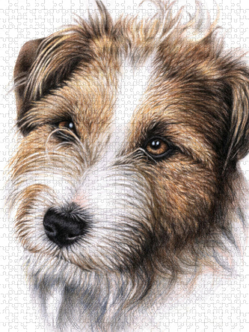 Jack Russell Terrier - CALVENDO Foto-Puzzle - calvendoverlag 39.99