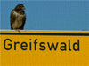 Univeritäts- und Hansestadt Greifswald - CALVENDO Foto-Puzzle - calvendoverlag 39.99
