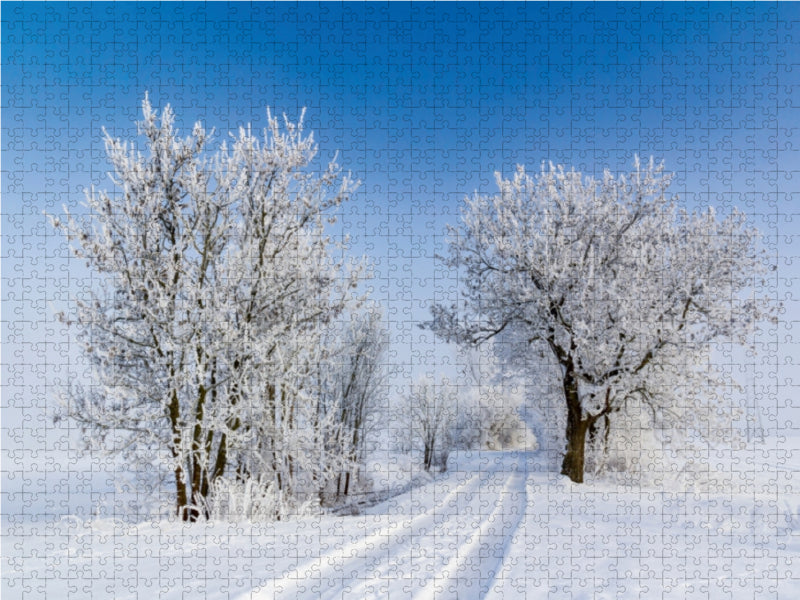 Winterlicher Weg bei greifswald - CALVENDO Foto-Puzzle - calvendoverlag 39.99