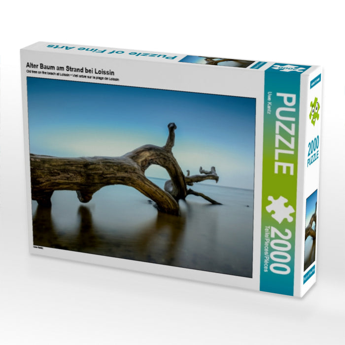 Alter Baum am Strand bei Loissin - CALVENDO Foto-Puzzle - calvendoverlag 39.99