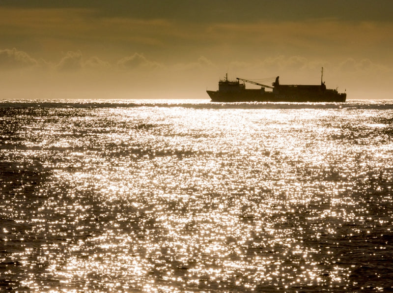 Schiff im Morgenlicht - CALVENDO Foto-Puzzle - calvendoverlag 39.99