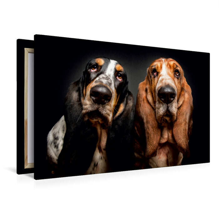 Premium Textil-Leinwand Premium Textil-Leinwand 120 cm x 80 cm quer Basset Hound Schnappschuss mit Leckerchen