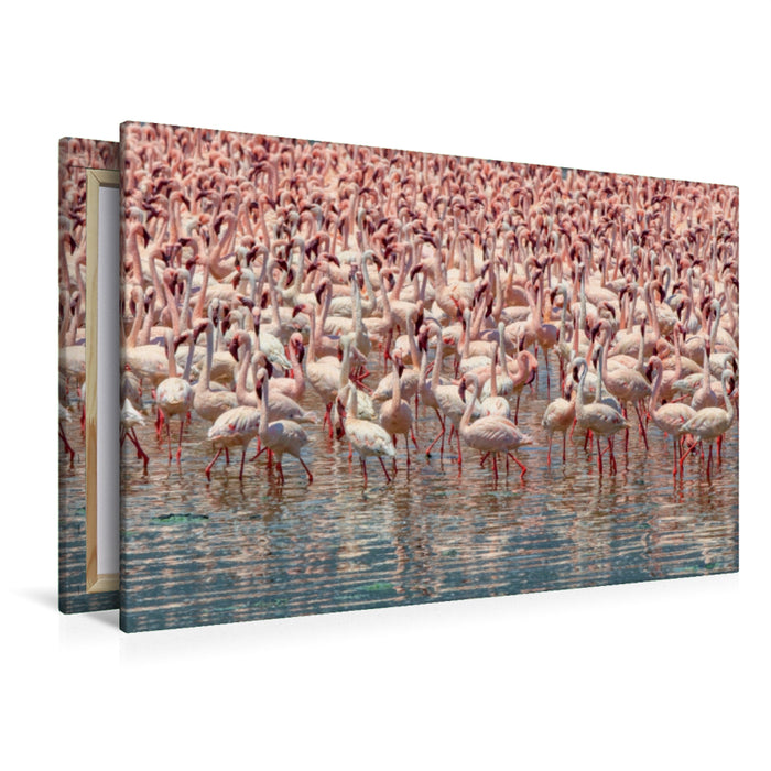Premium Textil-Leinwand Premium Textil-Leinwand 120 cm x 80 cm quer Flamingos