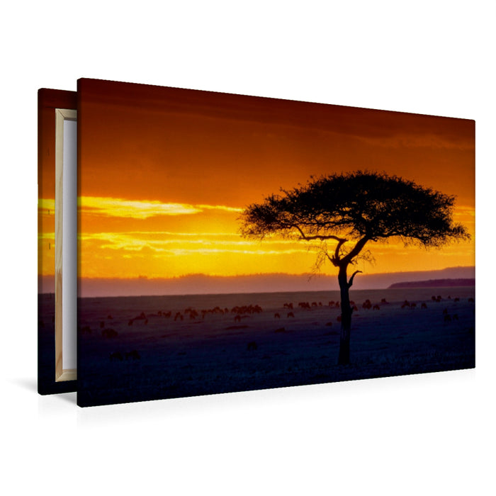 Premium Textil-Leinwand Premium Textil-Leinwand 120 cm x 80 cm quer Sonnenuntergang in der Masai Mara