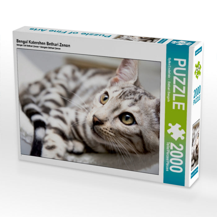 Bengal Katerchen Bethari Zenon - CALVENDO Foto-Puzzle - calvendoverlag 29.99