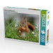 Lucien in der Blumenwiese - CALVENDO Foto-Puzzle - calvendoverlag 29.99