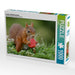 Lucien mit Melonenherz - CALVENDO Foto-Puzzle - calvendoverlag 29.99