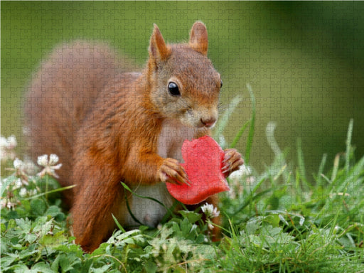 Lucien mit Melonenherz - CALVENDO Foto-Puzzle - calvendoverlag 29.99