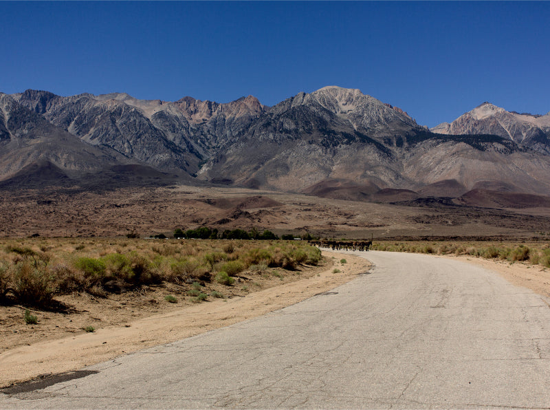 Faszination Death Valley - CALVENDO Foto-Puzzle - calvendoverlag 39.99