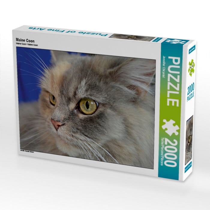 Maine Coon - CALVENDO Foto-Puzzle - calvendoverlag 29.99