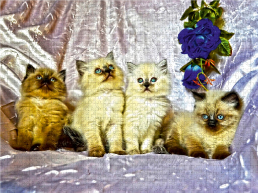 CATS IN HDR - CALVENDO Foto-Puzzle - calvendoverlag 29.99