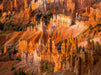 Bryce Canyon - CALVENDO Foto-Puzzle - calvendoverlag 39.99