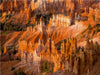 Bryce Canyon - CALVENDO Foto-Puzzle - calvendoverlag 39.99