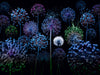 Allium fantasia - CALVENDO Foto-Puzzle - calvendoverlag 29.99