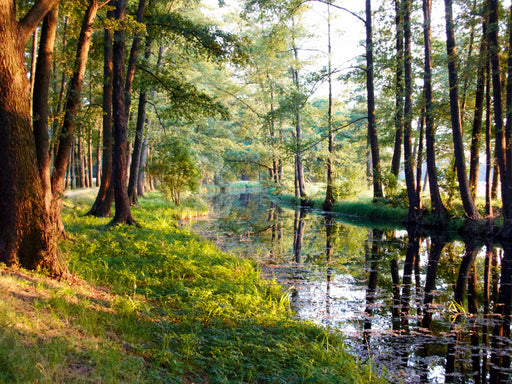 Fließ im Spreewald - CALVENDO Foto-Puzzle - calvendoverlag 29.99