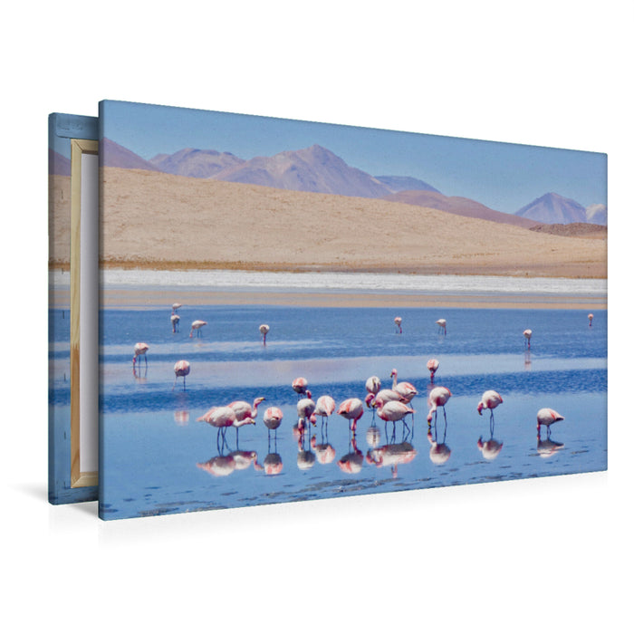 Premium Textil-Leinwand Premium Textil-Leinwand 120 cm x 80 cm quer Flamingos auf über 4000 Meter Höhe, Bolivien