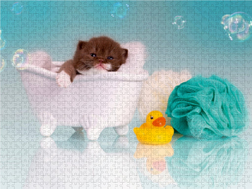Relax - Kitten in der Badewanne - CALVENDO Foto-Puzzle - calvendoverlag 29.99