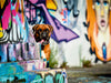 Boxer an einer Graffitywand - CALVENDO Foto-Puzzle - calvendoverlag 29.99