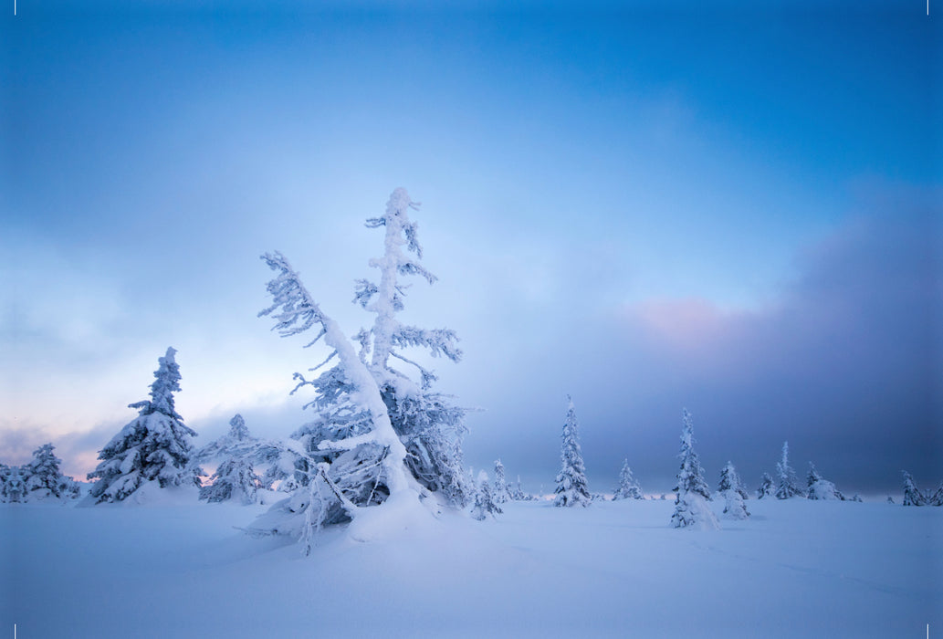 Premium textile canvas Premium textile canvas 120 cm x 80 cm across A motif from the calendar Karelia - winter hiking in Finland 