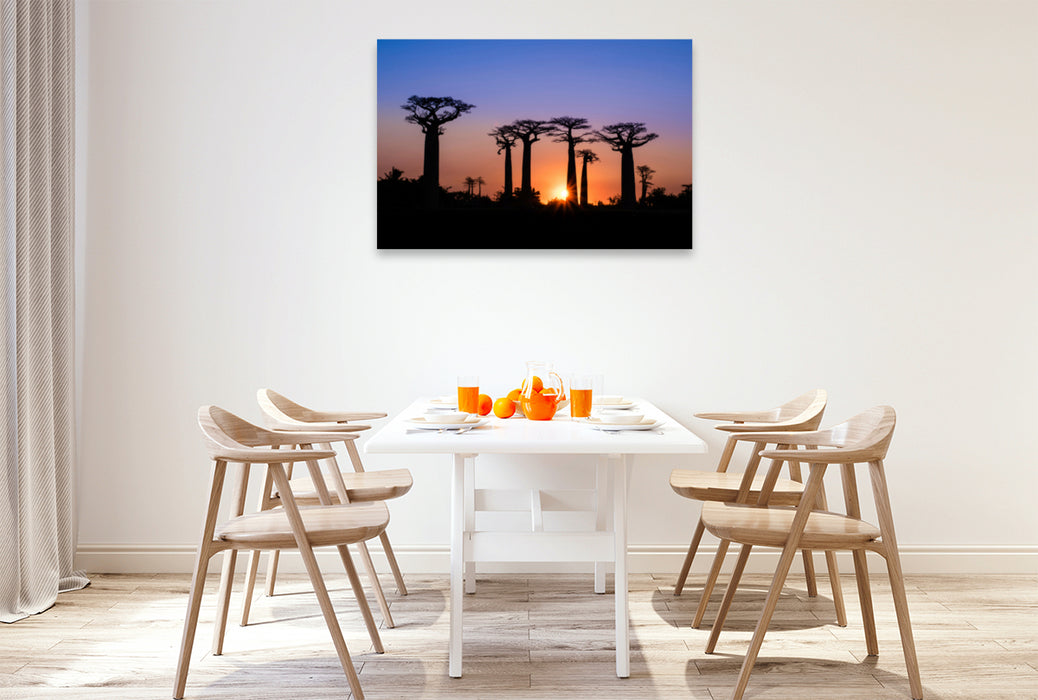 Premium textile canvas Premium textile canvas 120 cm x 80 cm landscape Baobab - Avenue 