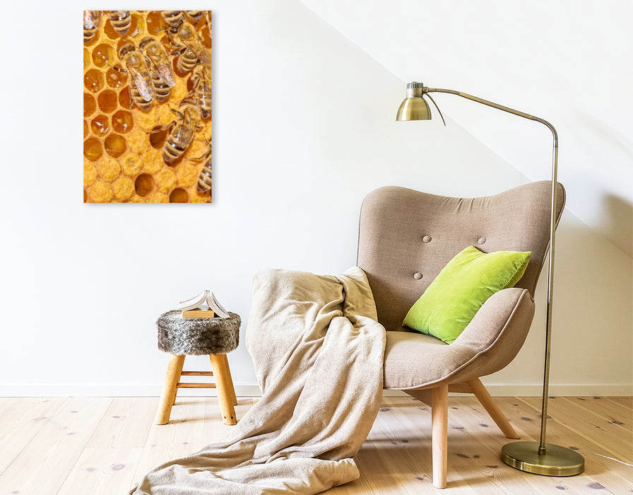 Premium Textil-Leinwand Premium Textil-Leinwand 50 cm x 75 cm hoch Ein Motiv aus dem Kalender Geschäftig wie im Bienenstock