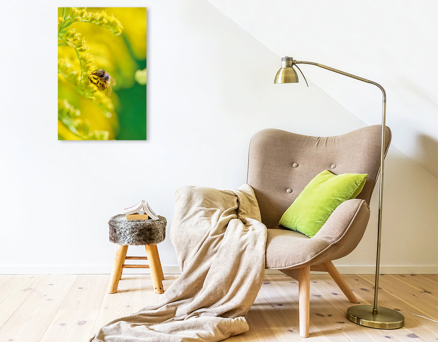 Premium Textil-Leinwand Premium Textil-Leinwand 50 cm x 75 cm hoch Ein Motiv aus dem Kalender Die Biene und die Farbe gelb