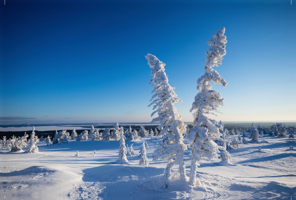 Premium textile canvas Premium textile canvas 120 cm x 80 cm landscape Cold snow in Karelia 