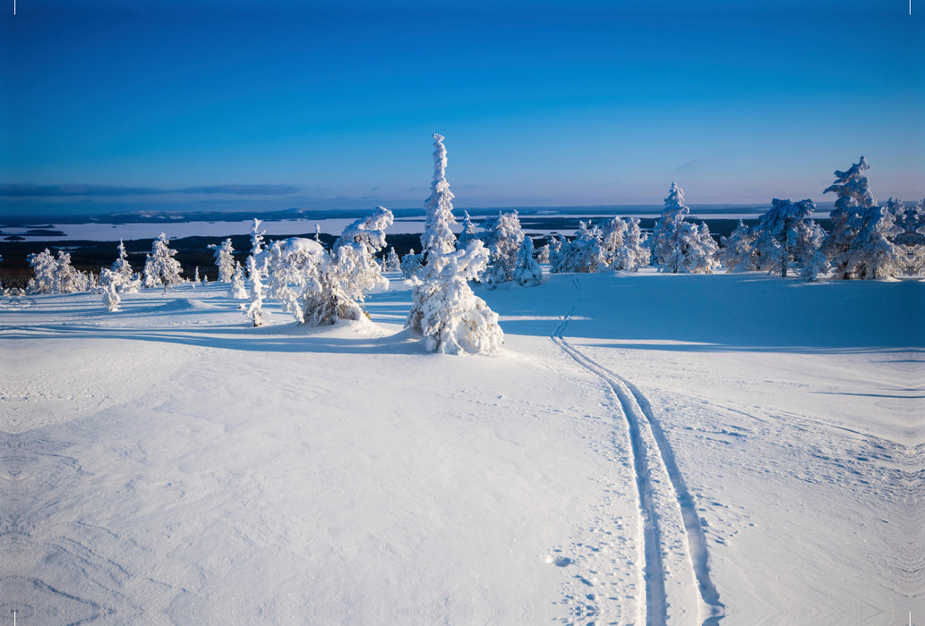 Premium textile canvas Premium textile canvas 120 cm x 80 cm across ski track into the distance 