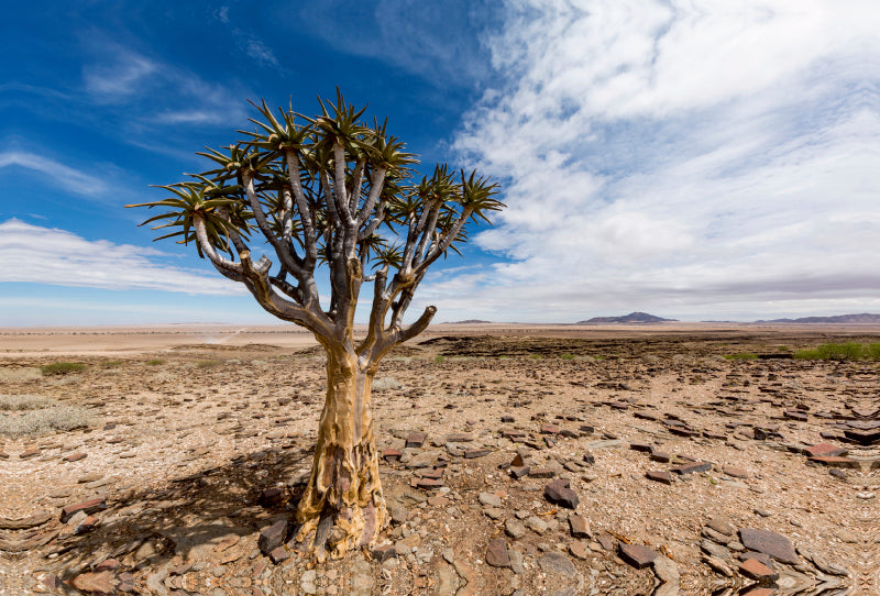 Toile textile haut de gamme Toile textile haut de gamme 120 cm x 80 cm paysage Parc national Namib-Naukluft, Namibie 