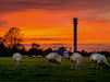 Leuchtturm Oberfeuer Voslapp - CALVENDO Foto-Puzzle - calvendoverlag 39.99